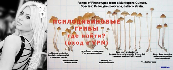 мефедрон Белокуриха