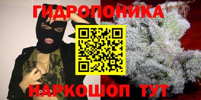 соль ск Аргун