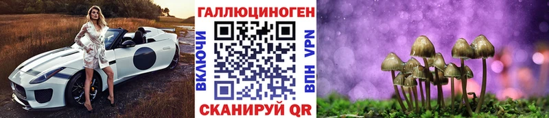 Галлюциногенные грибы мицелий Вятские Поляны