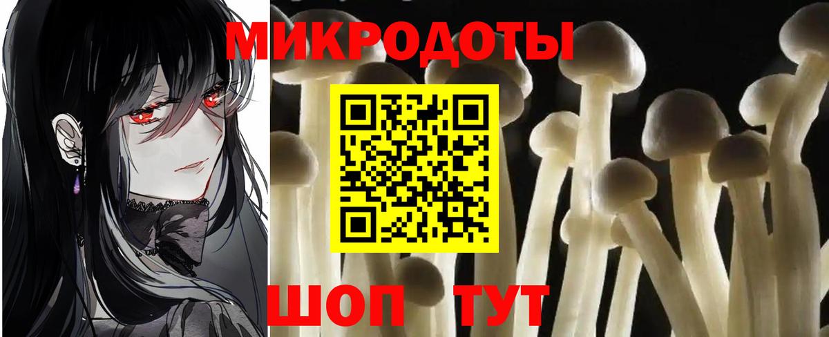 Псилоцибиновые грибы мицелий Вятские Поляны